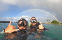 Beginner Scuba Experience with Video Package in Honolulu
