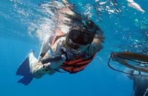 Snorkel Tour at Musa and Manchones Reef