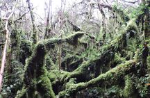 Parque Alerce Andino con sector Las Chaicas, PRIVADO