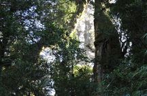 Parque Alerce Andino con sector Las Chaicas, PRIVADO