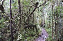 Parque Alerce Andino con sector Las Chaicas, PRIVADO