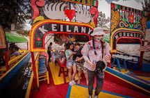 Mexico City: Xochimilco, Coyoacán and University City Tour 