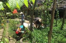 Private Cycling Tour in Rural Hue with Farming Experience
