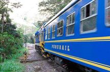 Tour to Machu Picchu by panoramic train in 2 days 