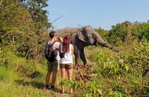 Kulen Elephant Forest & Tonlesap Lake