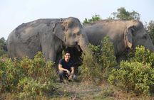 Kulen Elephant Forest & Tonlesap Lake