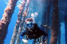 Private Scuba Diving Adventure in the Red Sea of Aqaba