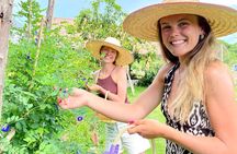 Baan Farm Thai Cooking School Chiangmai