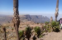 6 Days Trekking Simien Mountains Ras Dashen