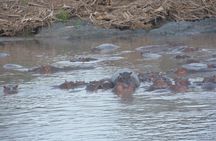 2 Days Tour From Zanzibar to Nyerere National Park (Selous GR)