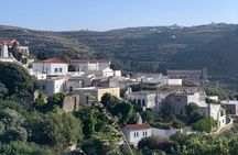 Food tour in Evia Island -road trip- small group