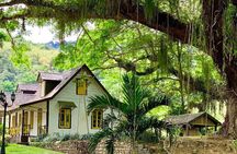 Half-day 3-Course Cocoa Lunch Tour in Trinidad