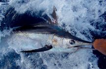 Deep Sea Fishing- Canadian Owned, Operated