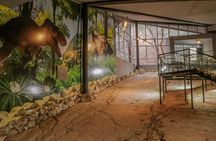 Footprints of the Past:Journey from Kutaisi to Ancient Landscapes