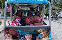 CHIPPIES BAHAMAS Island Tours : Feel The Culture