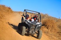 Desert and Beach Buggies Tour
