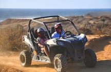 Desert and Beach Buggies Tour