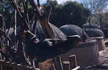 Lesedi cultural village half day tour 
