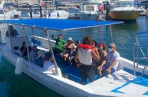 Whale Watching on a Glass Bottom Boat