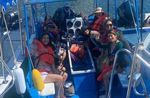 Whale Watching on a Glass Bottom Boat