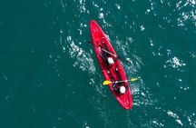 Newquay Kayaking Adventure