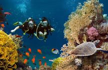 Scuba dive with sharing transfers