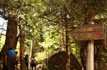Private Hiking Tour in Athens at The Peak of Taygetos Mountain