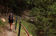 Private Hiking Tour in Athens at The Peak of Taygetos Mountain