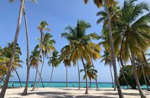 Saona Island Tour from Punta Cana All Inclusive