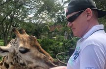 Private Nairobi Day tour to Giraffe Center and Karen Blixen