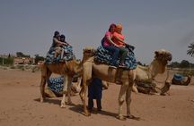 Agadir Camel Ride Experience 