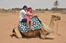 Agadir Camel Ride Experience 