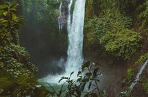 Ubud private tours