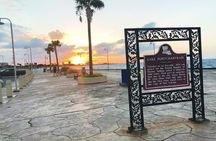 Private New Orleans City and Cemetery Bus Tour Up to 24 People