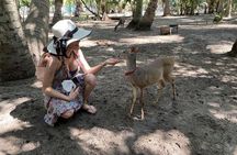 Half-Day Tour to Ventanilla, Mazunte, Zipolite and Puerto Angel