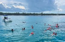 007 Private Beach Club -Swimming Pigs, Snorkeling, Lunch, Drinks