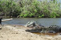 Half-Day Tour to Ventanilla, Mazunte, Zipolite and Puerto Angel
