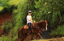 Horseback riding in the mountains of Puerto Vallarta