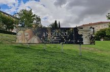 Prado Museum Small Group Tour 