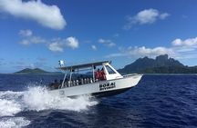 1 Dive in the afternoon for Certified Divers in Bora Bora
