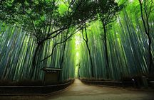 Private Kyoto Tour with Hotel pick up and Drop off