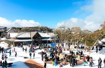 Mount Buller 1 Day Guided Tour