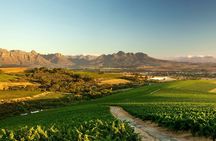 Full-Day Cape Winelands Tour