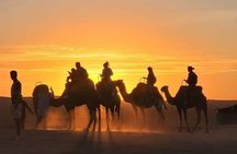 Camel Ride at Agafay Desert 