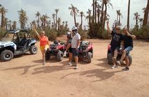 Experience 2 hours Quad Bike 