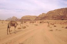 Private 1 Day Wadi Rum Desert Tour