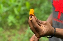 STONE TOWN and SPICE FARM TOUR ( Lunch Included ) 