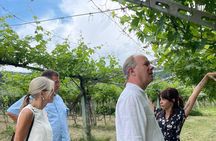 From Verona: trip into the world of Natural Wines & organic lunch