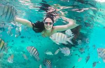 Exploring Angra Dos Reis and Ilha Grande in One Day