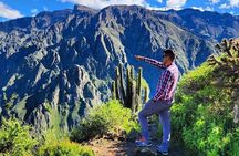 3-Day Colca Canyon trek with Professional Guide 